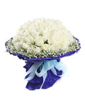 满满的爱-99枝白玫瑰，满天星围绕