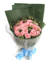 温暖问候-11枝粉康乃馨，水晶草丰满