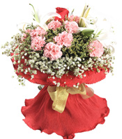 无限祝福-28枝粉康乃馨，1枝红玫瑰，2枝白香水百合