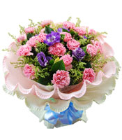 妈妈我爱你-21枝粉康乃馨，紫色洋桔梗，黄莺、绿叶适量点缀