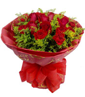 十全十美-10枝红玫瑰，10枝红康乃馨，黄莺丰满