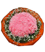 无限祝福-99枝粉色康乃馨，满天星围边点缀