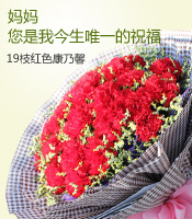 特价推荐/永远年轻-19枝红康乃馨，搭配水晶草